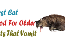 Best Cat Food For Older Cats That Vomit