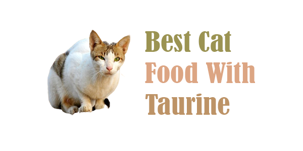 Best Cat Food With Taurine