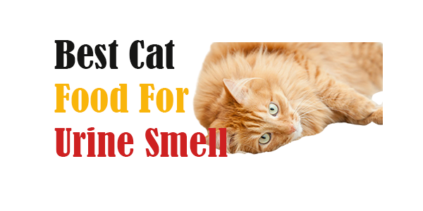 Best Cat Food For Urine Smell